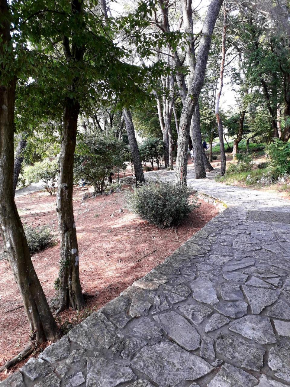 Apartments And Rooms Haludovo - Ribarsko Selo Malinska Exterior foto